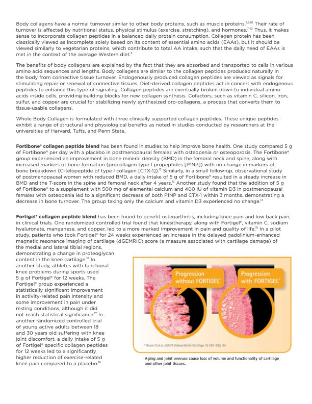 Designs for Health Whole Body Collagen®