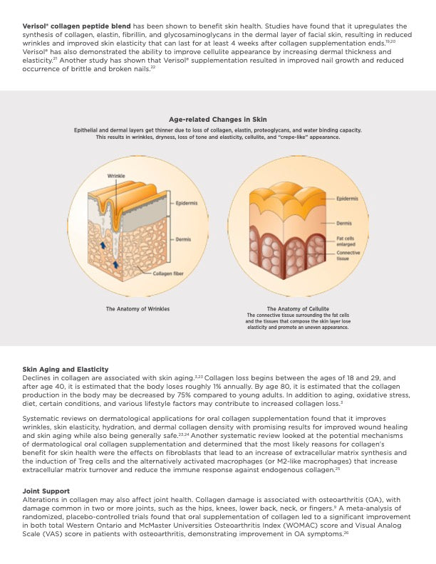 Designs for Health Whole Body Collagen®